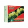 Noni dorato e verde 60 capsule