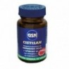Gsn Histisan 60 Comprimés