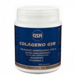 Gsn Colágeno con Ácido Hialurónico Naranja 340 g