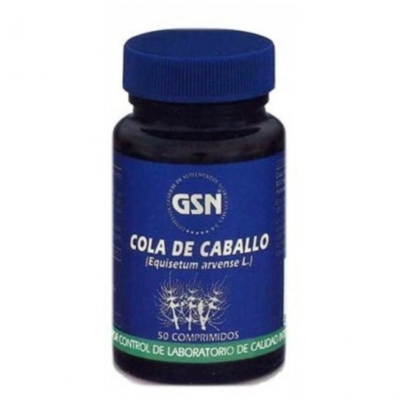 Gsn Prêle 800 mg 80 Comprimés Gsn Prêle 800 mg 80 Comprimés