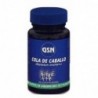 Gsn Prêle 800 mg 80 Comprimés