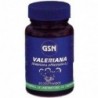 Gsn Baldrian 800 mg 80 Tabletten