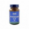 Gsn Echinacea 800 mg 50 Comprimidos