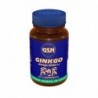Gsn Ginkgo Biloba 582 mg 80 Comprimidos