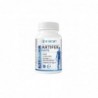 Hcf Artifer Forte 60 Kapseln