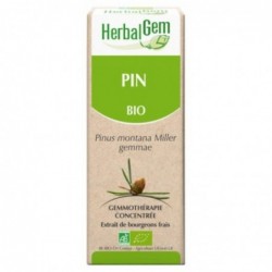 Herbalgem Glycerinated Macerated Pine 50 ml