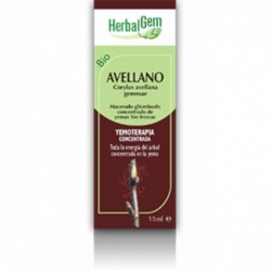 Herbalgem Hazelnut 50 ml Macerated Glycerinated