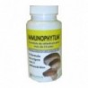 Holistica Immunophytum (Shiitaker) 32 Capsules