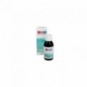 Ineldea Pediakid Transportkrankheit (Krankheit) Sirup 125 ml