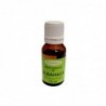 Integralia Essence de Basilic 15 ml