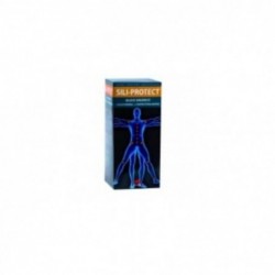 Intersa Sili-protege 500 ml