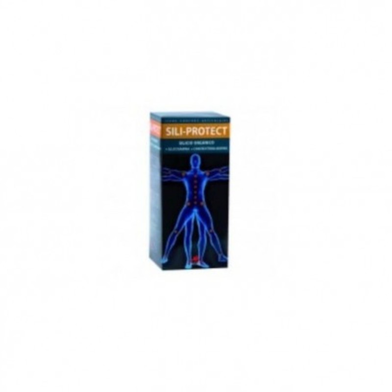 Intersa Sili-protect 500 ml
