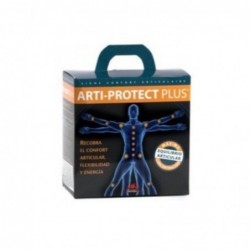 Intersa Arti Protect Pack Plus 2x45 Perlen