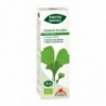 Intersa Phyto Biopole Ginkgo 50 ml
