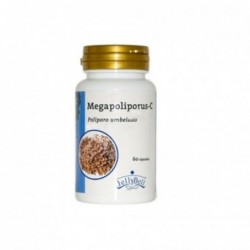 Jellybell Megapoliporus-c 60 Kapseln