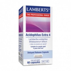 Lamberts Acidophilus Extra 4 60 capsule