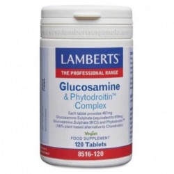 Lamberts Glucosamin & Pytodroiting Complex 120