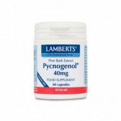 Lamberts Pycnogenol 40 mg (Kiefernrindenextrakt) 60 Kapseln