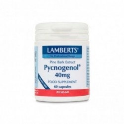 Lamberts Pycnogenol 40 mg (Extracto de Corteza de Pino) 60 Cápsulas