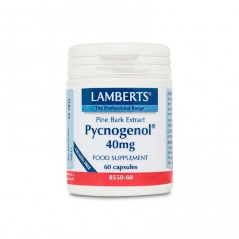 Lamberts Pycnogenol 40 mg (Kiefernrindenextrakt) 60 Kapseln Lamberts Pycnogenol 40 mg (Kiefernrindenextrakt) 60 Kapseln