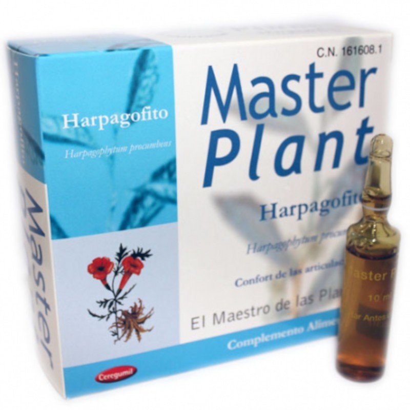 Meisterpflanze Meisterpflanze Harpagofit