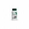 Mgd Desmodium 120 Kapseln