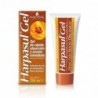 Natysal Harpasul Gel Au Silicium Org.100 ml
