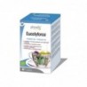 Physalis Eucalyforte Infusion 20 Bio Filtres