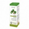 Physalis Rizinusöl 100 ml Bio