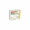 Pinisan Gripdefens 12 buste