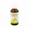 Plantapol Johanniskrautöl 50 ml