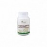 Plantapol Harpagophytum 100 Comprimés