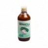 Plantis Graviola Soursop-Saft 500 ml