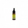Plantis Aceite Esencial de Clavo 10 ml