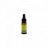 Plantis Geranien-Essenzöl (Hautregenerator) 10 ml