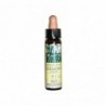 Plantis Agrimony-1 Eco Floral Elixir (Dr. Bach) 10 ml