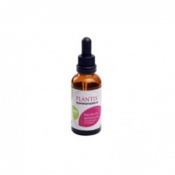 Extrait de Plantis Lepidium Rockbreaker Eco sans alcool 50 ml