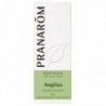 Pranarom Ätherisches Angelikawurzelöl 5 ml