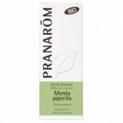 Pranarom Ätherisches Bio-Pfefferminzöl 5 ml