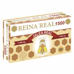 Robis Reina Real 1.500 20 Ampullen