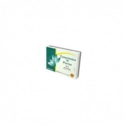 Robis H-3 Hepato Protector 60 compresse
