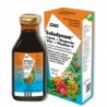 Salus Saludynam Calcio + Magnesio 250 ml