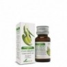 Soria Natural Ätherisches Eukalyptusöl 15 ml