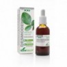 Soria Natural Extrato de Desmodium Adscendens 50 ml Xxi