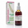 Soria Natural Composor 31 Meno-regul Complex 50 ml 21st century