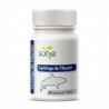 Sotya Beslan Shark Cartilage 710 mg 60 C