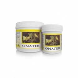 Tegor Onater 400 Perle
