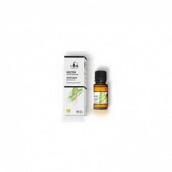 Terpenic Evo Wintergrün Wintergrün Bio ätherisches Öl 10 ml