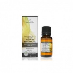 Terpenic Evo Ätherisches Bio-Minz-Bergamotte-Öl 10 ml