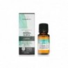 Terpenic Evo Ätherisches Pfefferminzöl 10 ml Bio